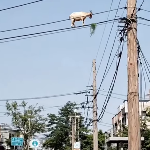 동영상 썸네일