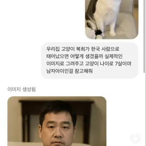 펌) 우리집 고양이가 한국사람이라면.jpg