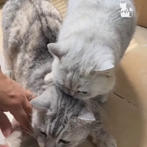 동영상 썸네일