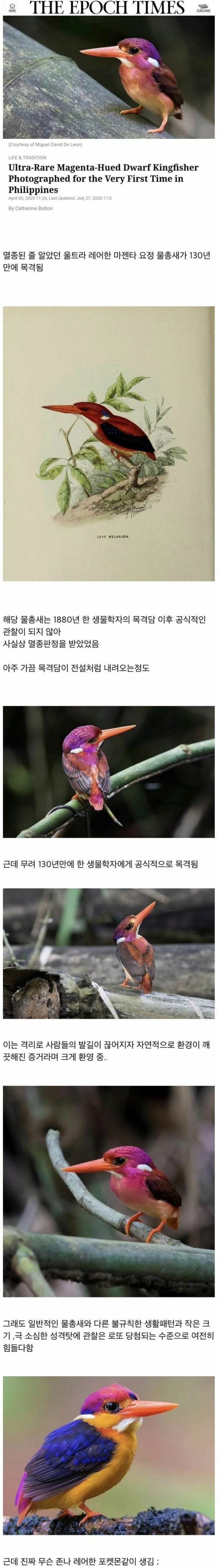 18 알고 보니 멸종 안됨.jpg