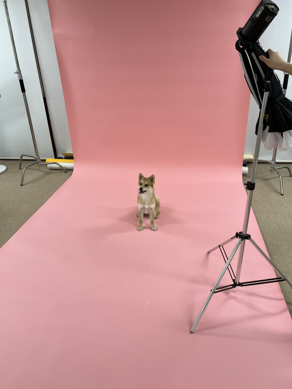 16254f78daf98b06a8faede1bdf21d62_1744367765_2597.jpeg