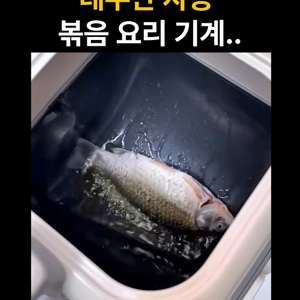 동영상 썸네일