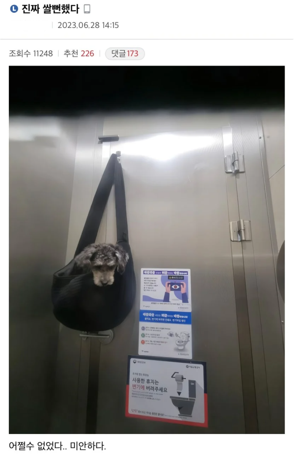 173e0a29e7278269ecaebb5efafd6f84_1744258873_888.png