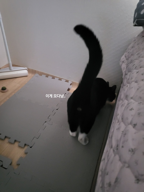 20c29b3ee28fd76f0976f6dbedb165e7_1745399851_9381.jpg