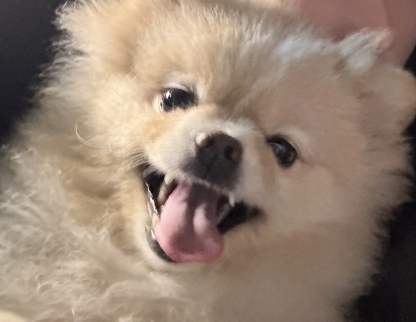 300a6ad12d216e9744965051755d97c2_1745205462_4961.jpeg