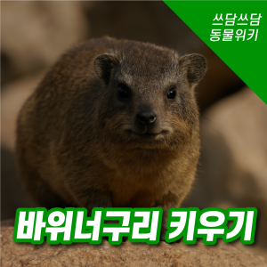 320c7a69a1ed1ee2254663c741680d8d_1745391462_1389.png