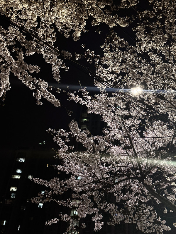 4136a0269eeda5d8e84b62500a6c0314_1745418932_2688.jpeg