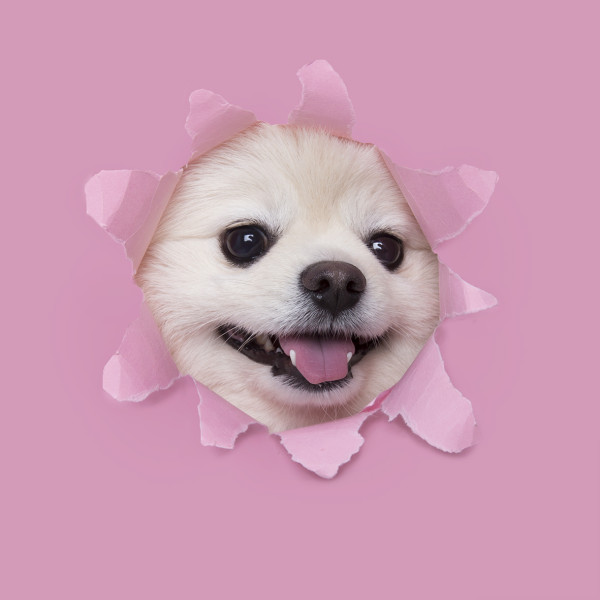 497e7e7545e6dfa34c13e57aab6f777c_1744608296_3807.jpeg