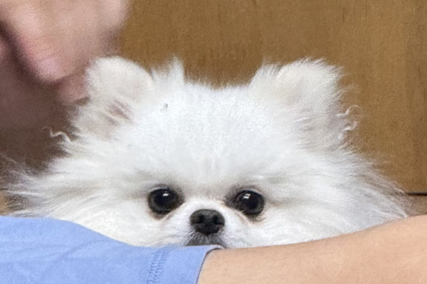 4a18be9b3c5abf0cc27c34b1dddd4123_1745716881_9936.jpeg