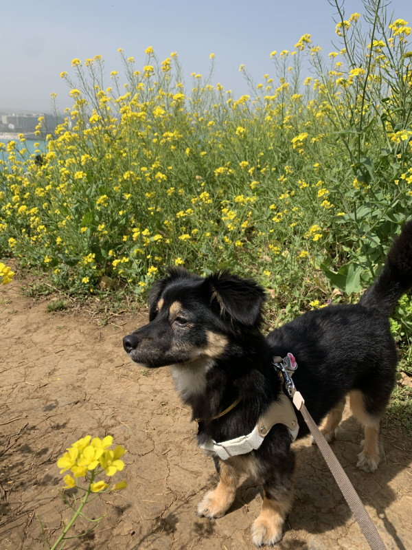 5313902946a8c133768368d8629c2c22_1744273514_6754.jpeg