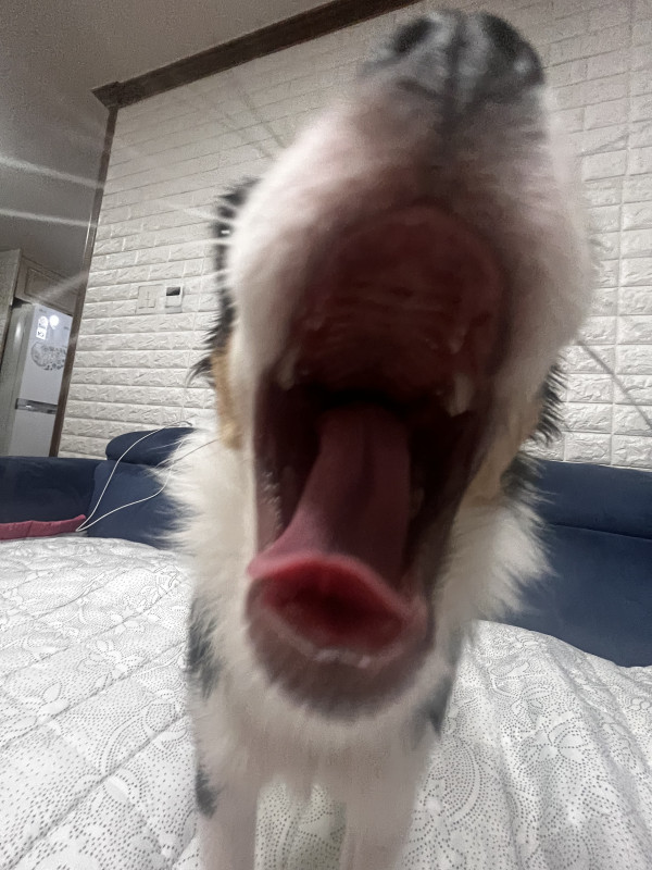 688fdc104660c7fd518d86fc946ddae8_1744436298_6477.jpeg
