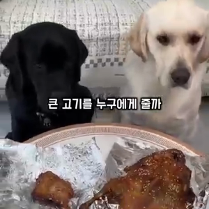 동영상 썸네일