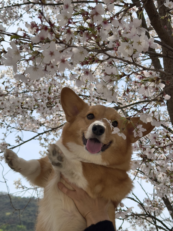 7c8fd3a608d731aa2588f78d2e502e3a_1744601734_5883.jpeg