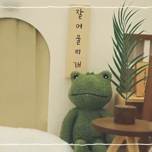 펫플루언서 이미지