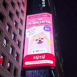 펫플루언서 이미지