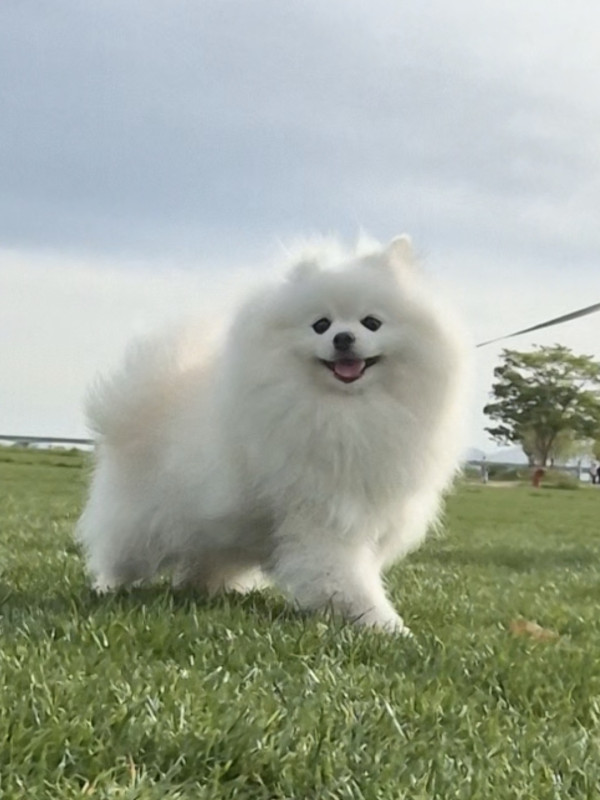 98950d9f84131b8768742b3621858c76_1745814606_2400.jpg