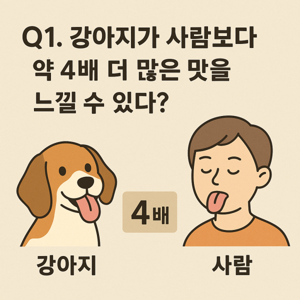 9a6c9f8410c2093ce06a78a73a21ab2d_1744618058_7278.png