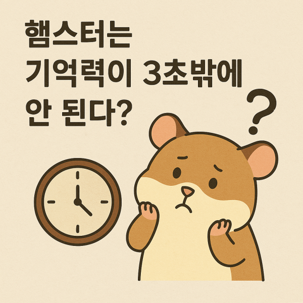 9a6c9f8410c2093ce06a78a73a21ab2d_1744618366_2861.png