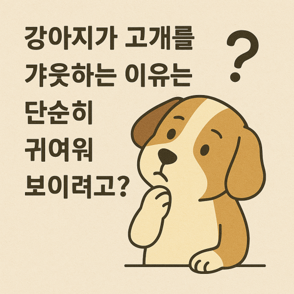 9a6c9f8410c2093ce06a78a73a21ab2d_1744618447_5287.png