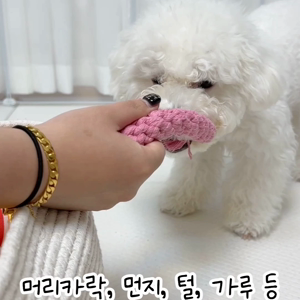 동영상 썸네일