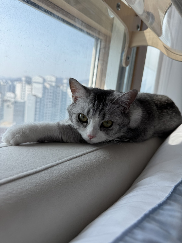 a24ccce5a0b6f004f737abf6ceb8f58c_1744010065_4438.jpeg