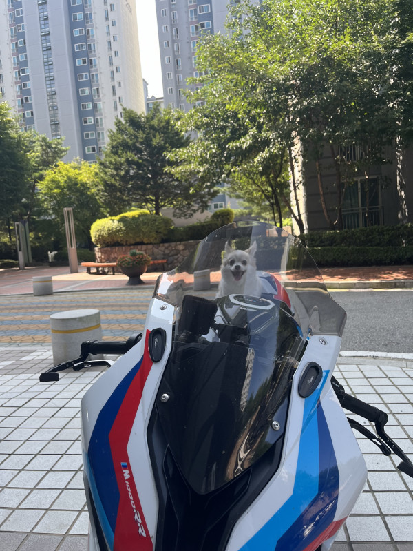 a602a197946d43714cf0855c00c61497_1745524619_6108.jpeg