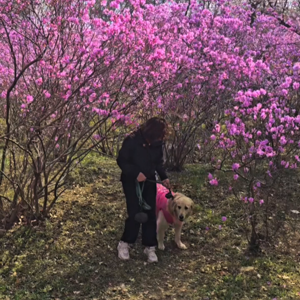 펫플루언서 이미지