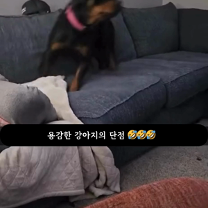 동영상 썸네일