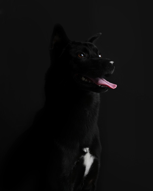 c57d02f6e91208602434f715705e60c4_1744629713_6713.jpeg