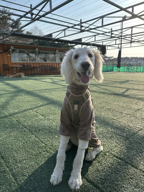 ca08b55c1311f9d5a650e9b502c74839_1744383417_1495.jpeg
