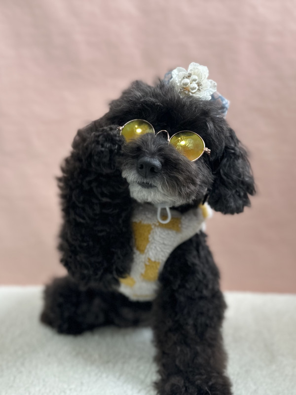 d08c512459e9df973a95fdf6bacc3de5_1743987175_2053.jpeg