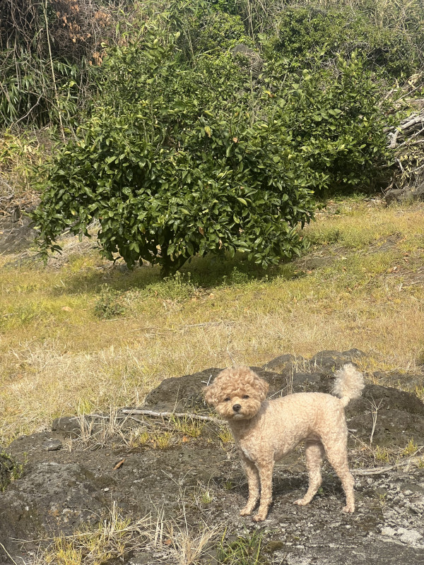 d15e2ce825034e08d7905377e84456db_1745468230_1117.jpeg