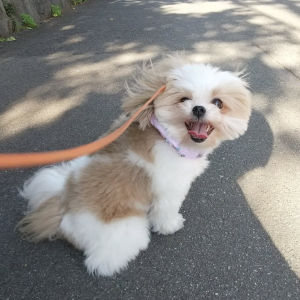 스크린샷 2025-04-18 103346.png