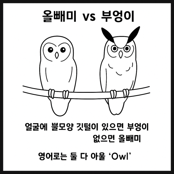 eb00c589f76f8e6afef8b23a5c145ff7_1744791934_9308.png