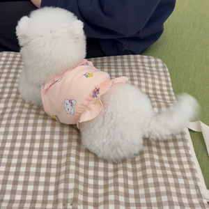 펫플루언서 이미지
