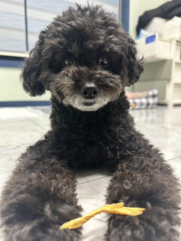 f053a50f5596846aed2160eef53456fd_1745172312_7485.jpeg