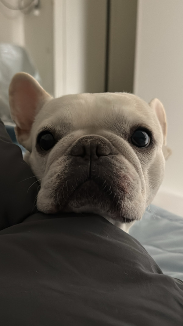 f610652e285f6f47d500c1b93e2e2e7c_1745182547_7598.jpeg