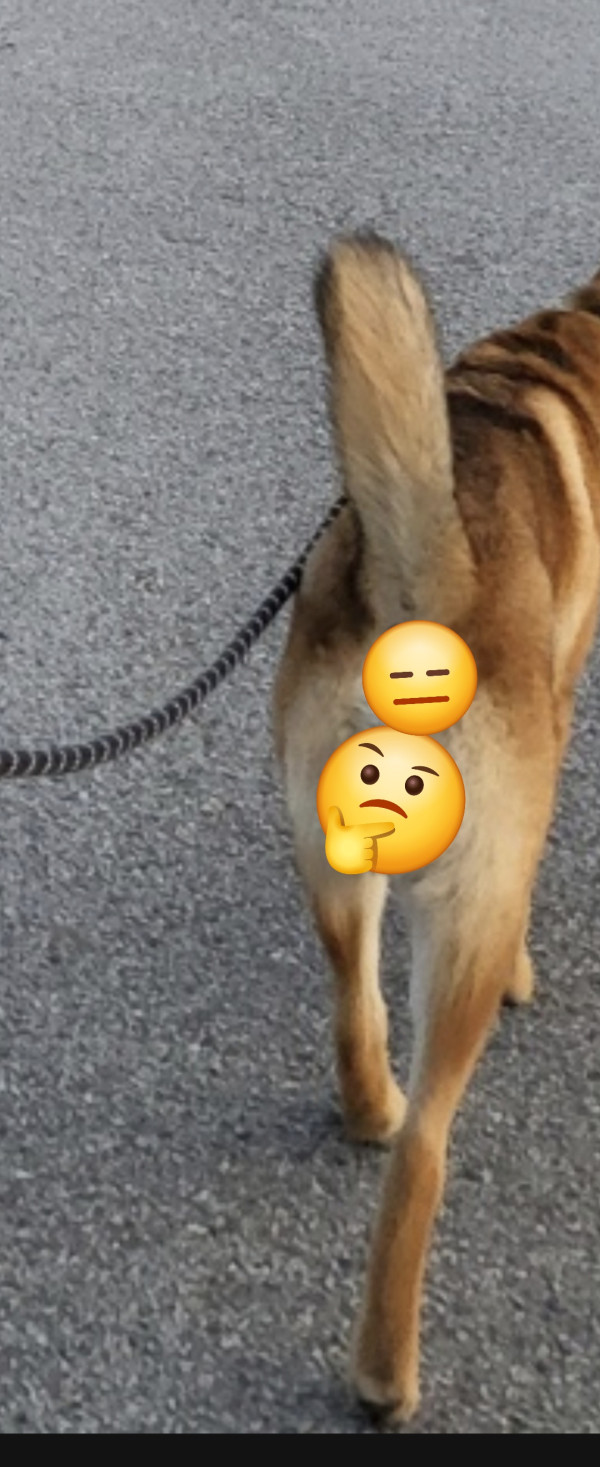 f61495878c6597fc8a88969c285b694f_1744990135_7747.jpg