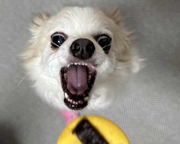 f6b4a9ede339092838f06947998b36c0_1745619594_7577.jpeg
