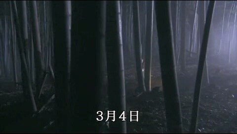 03.jpg
