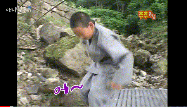 01-0.gif