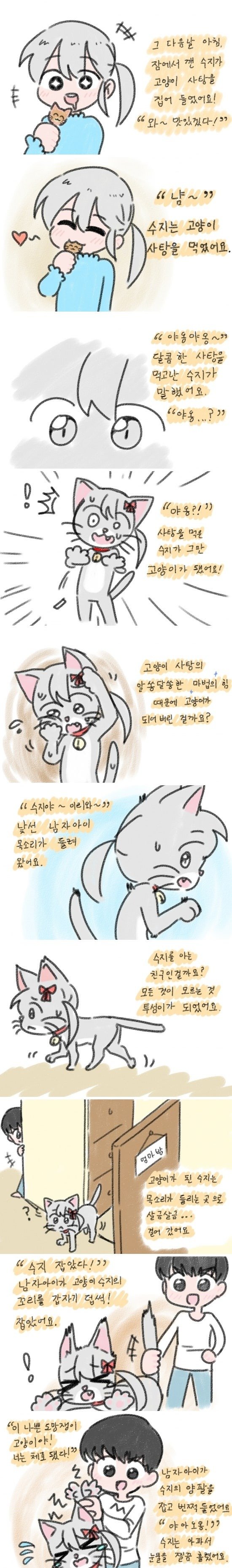 04.jpg