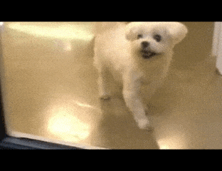 183cf242fcb72b3baf222a58d41c205b_1747877168_8934.gif