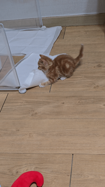 40e98b7137b2112243ced1b814f725fb_1747290489_4403.gif