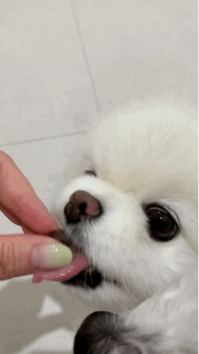 77dce818d5e80592b3c7c21ee60d1822_1746532387_9353.gif