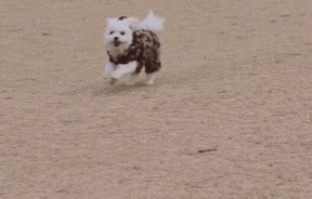 b6cfa19bc93e758d20f166bf2e5dee78_1747877168_4205.gif