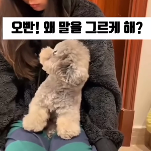 동영상 썸네일