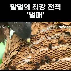 동영상 썸네일