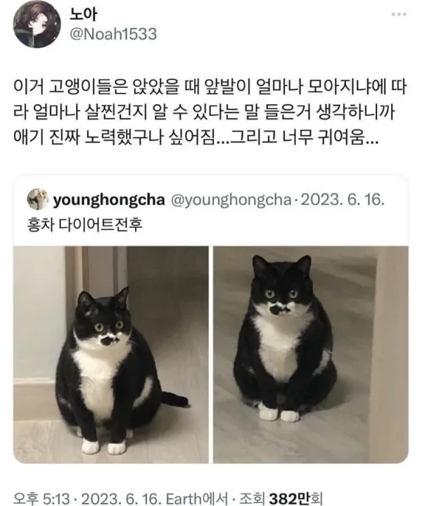 20250530094628_B0X5a9z1VZ.webp