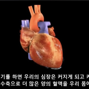 달리기를 꼭 해야하는 이유